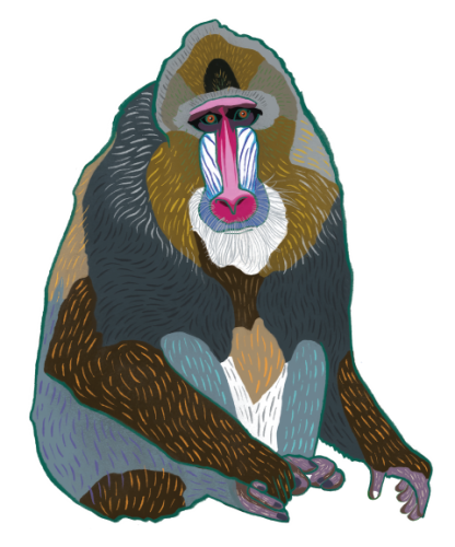 Mandrill