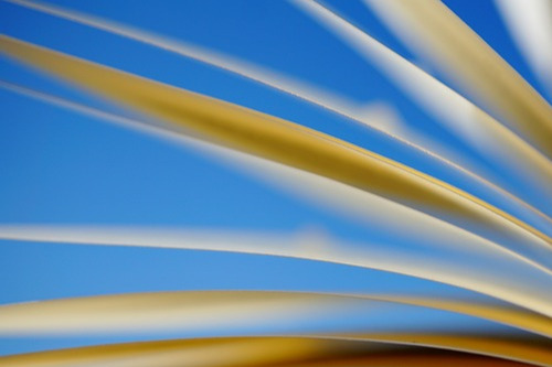 pages d'un livre sous un ciel bleu
