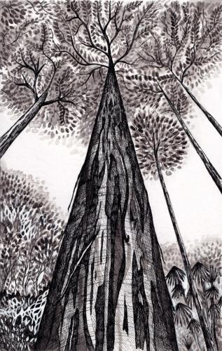 ExpositionArbresMondes