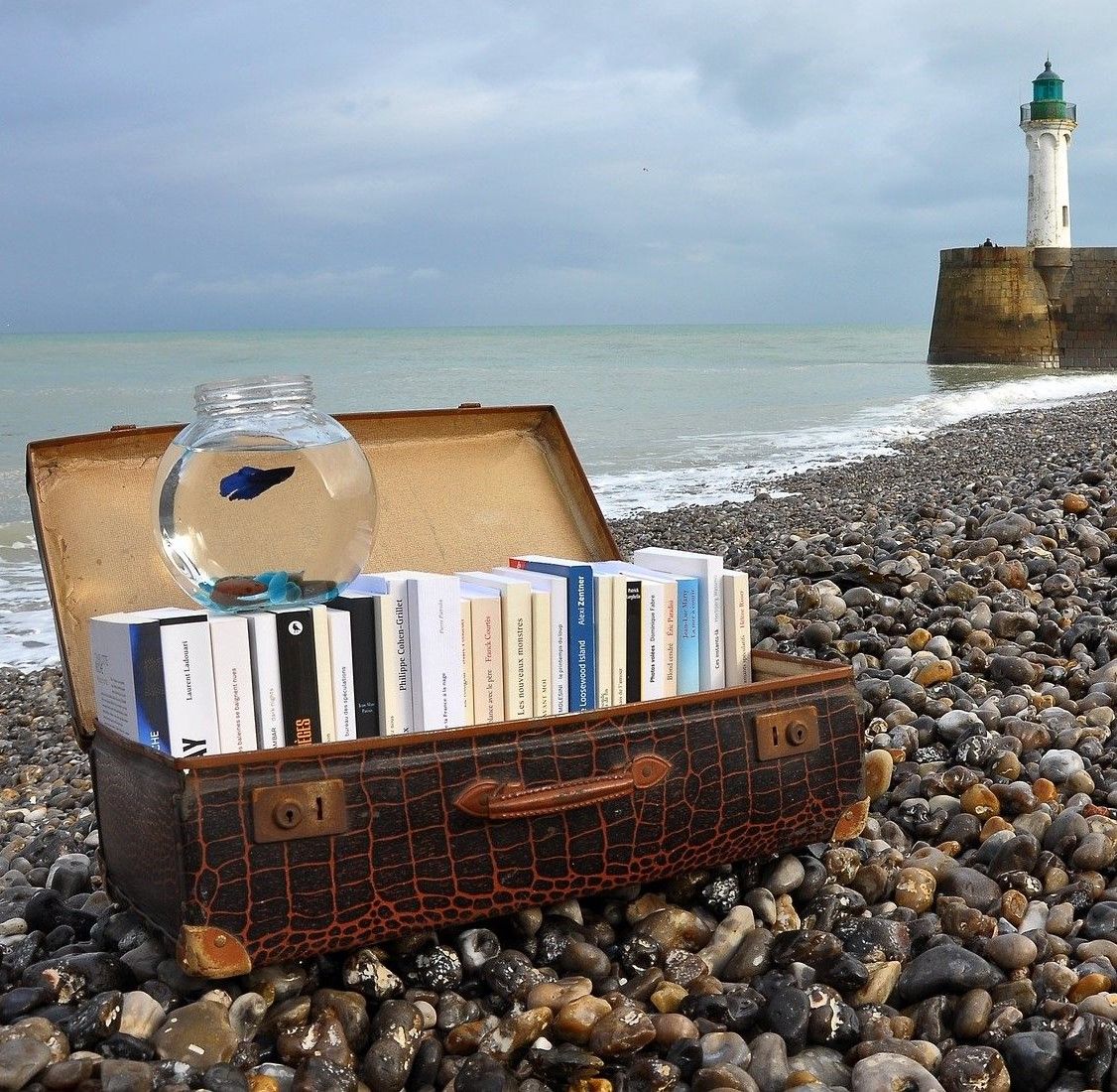 photo d'une malle de livres sur la plage