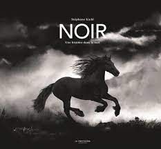 Couverture du livre "Noir"