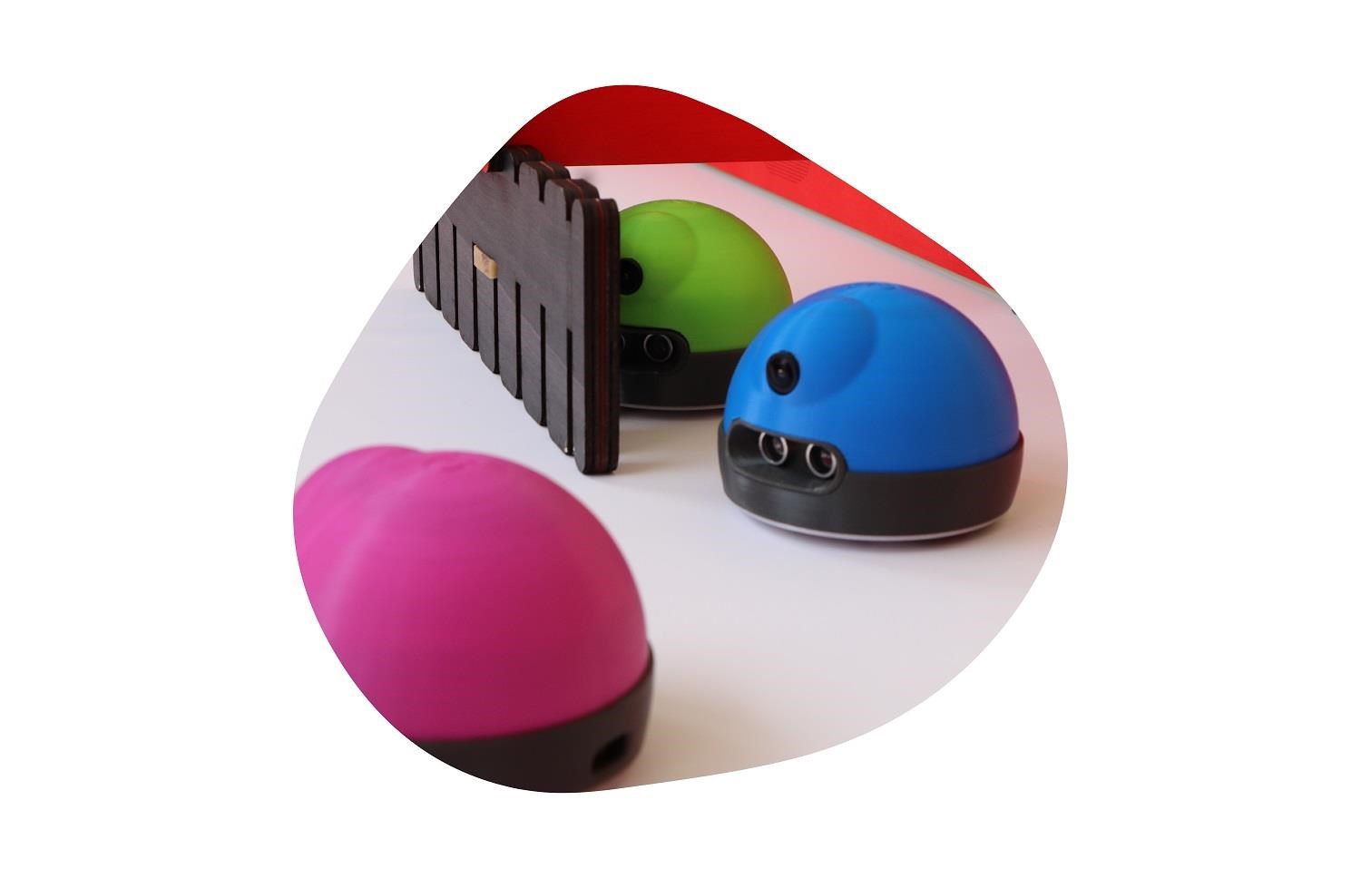 Photo des robots AlphAI